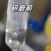 必看！全自動浸入式液氮冷凍研磨儀高效研磨小鼠肝臟提取DNA實操指南